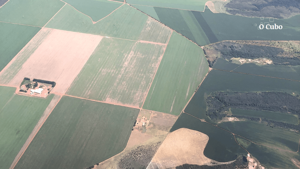 Desmatamento do Cerrado coloca em risco oferta de água em 65 municípios do&nbsp;Maranhão