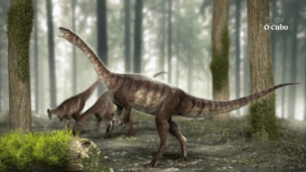 Fóssil brasileiro é evidência mais antiga de traço evolutivo que favoreceu o gigantismo de&nbsp;dinossauros