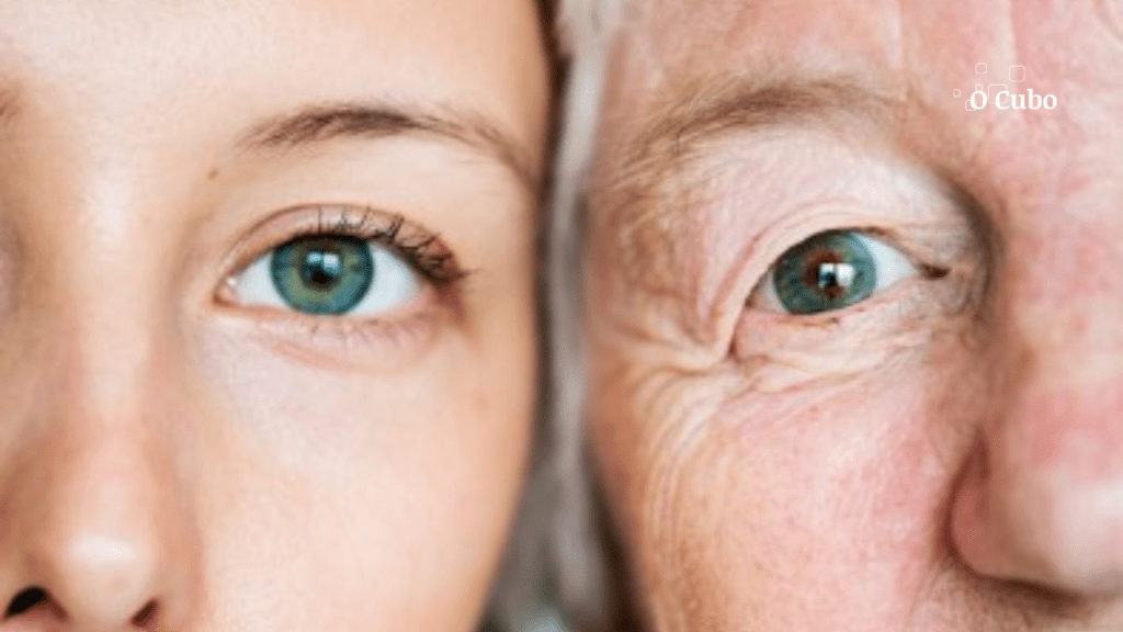 Efeitos do envelhecimento no organismo se tornam mais evidentes após os 60 anos, mostra&nbsp;estudo