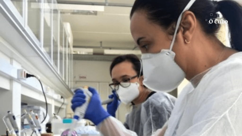 No Ceará, chikungunya matou mais do que dengue na última&nbsp;década