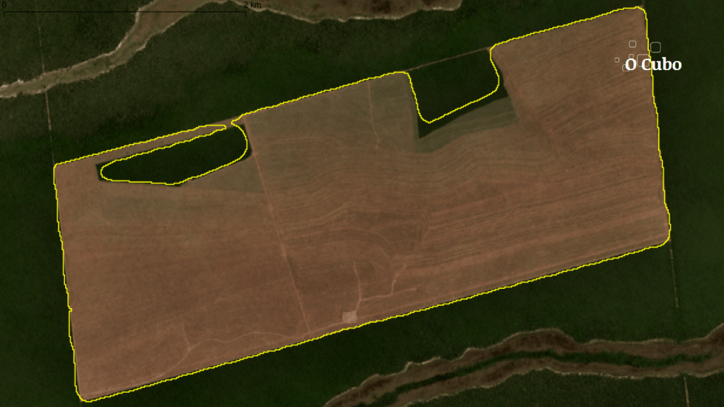 Desmatamento do Cerrado sobe 35% no primeiro&nbsp;trimestre