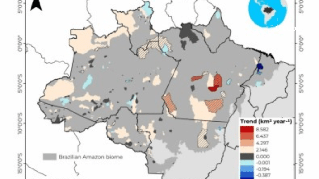 Desmatamento em terras indígenas provocou a emissão de 96 milhões de toneladas de&nbsp;CO2