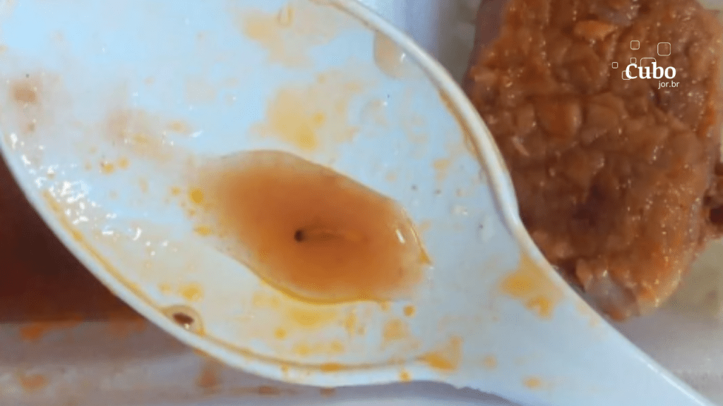 Larvas são encontradas em refeição servida a pacientes no Hospital Universitário Materno Infantil de São&nbsp;Luís