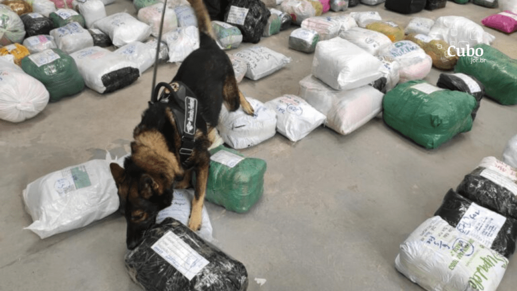 Receita Federal apreende 700 smartphones em operação de combate ao contrabando e descaminho em São&nbsp;Luís