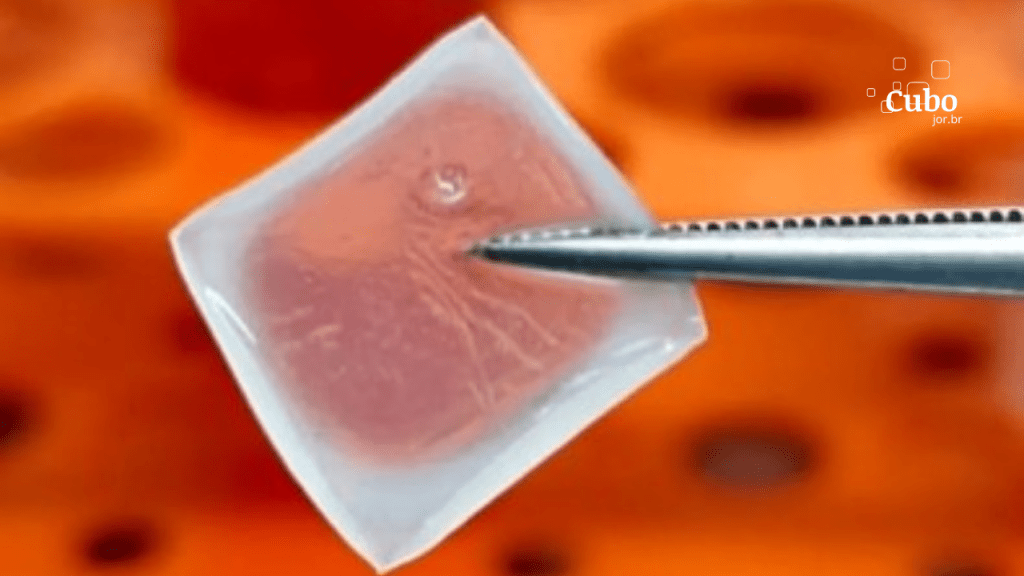 Biocurativo acelera a recuperação de lesões cutâneas em&nbsp;diabéticos