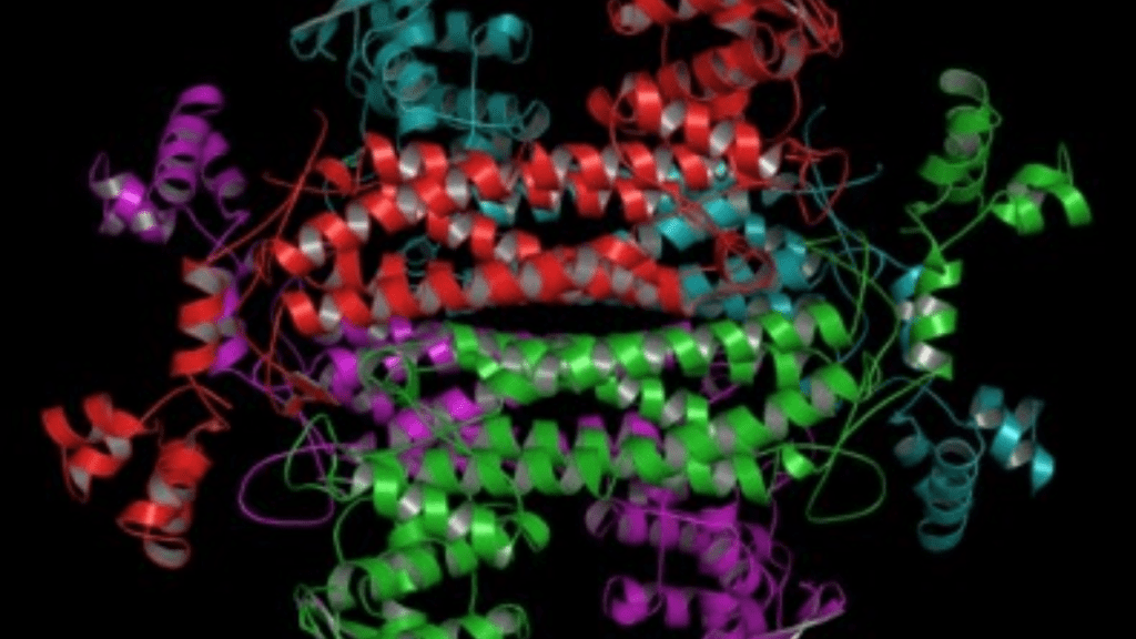 Nova técnica pode facilitar a descoberta de alvos terapêuticos e mecanismos de&nbsp;doenças