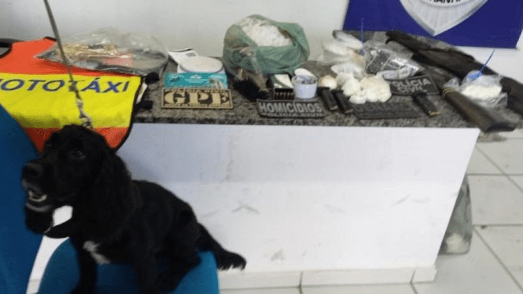 Operação em Timon prende fornecedor de drogas e apreende armas e&nbsp;drogas