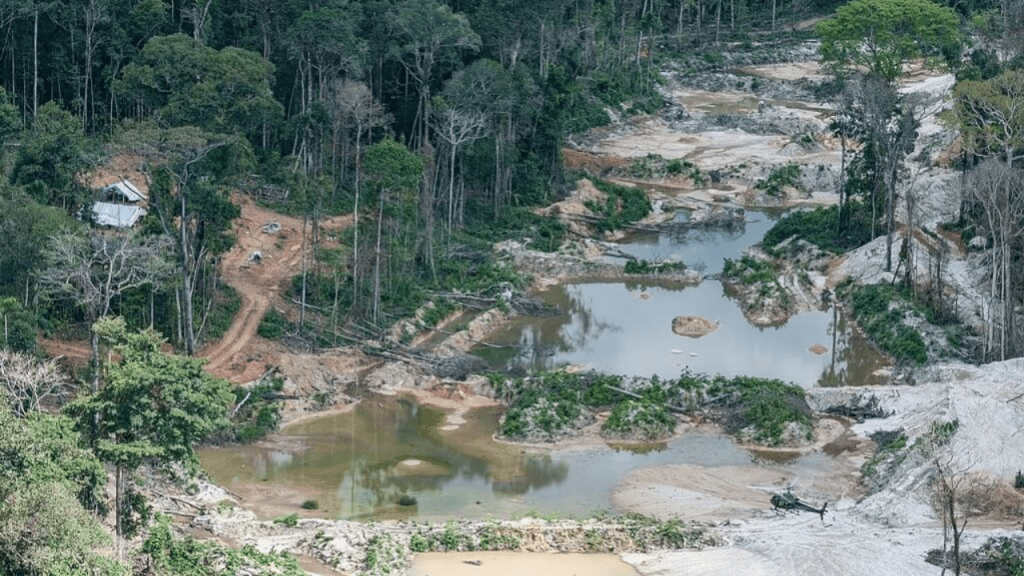 Por que precisamos urgentemente de uma Política Nacional de Prevenção da Exposição ao Mercúrio no&nbsp;Brasil?