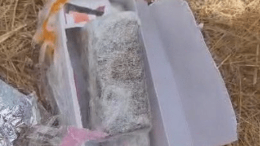 Materiais ilícitos são apreendidos em ação de combate ao narcotráfico em&nbsp;Imperatriz