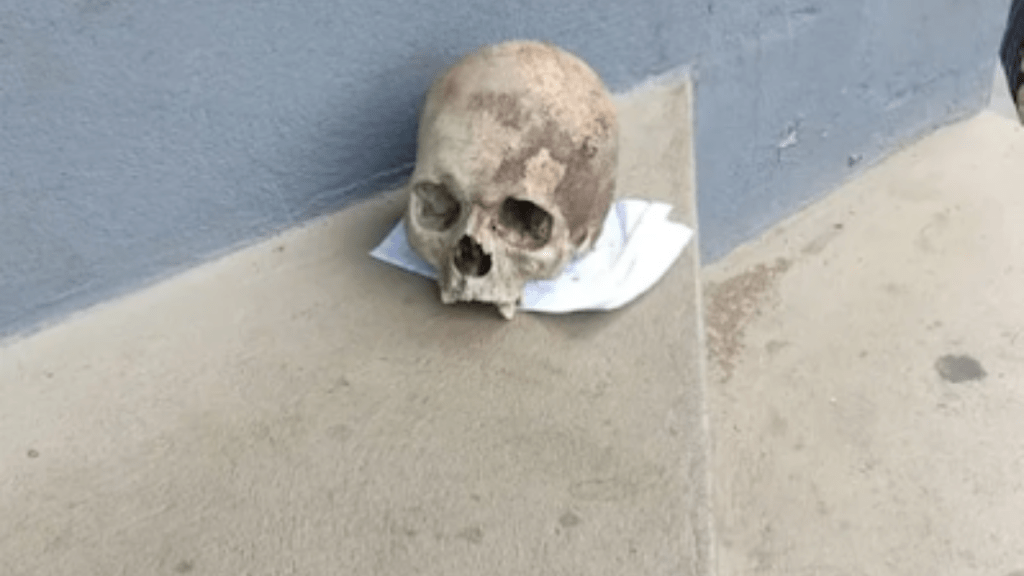 Homem deixa crânio humano na calçada da Delegacia Regional de&nbsp;Imperatriz