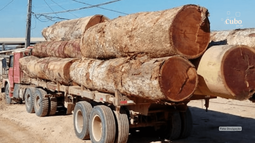 MPF obtém condenação de servidores do Ibama no Maranhão por corrupção passiva em caso de transporte irregular de&nbsp;madeira