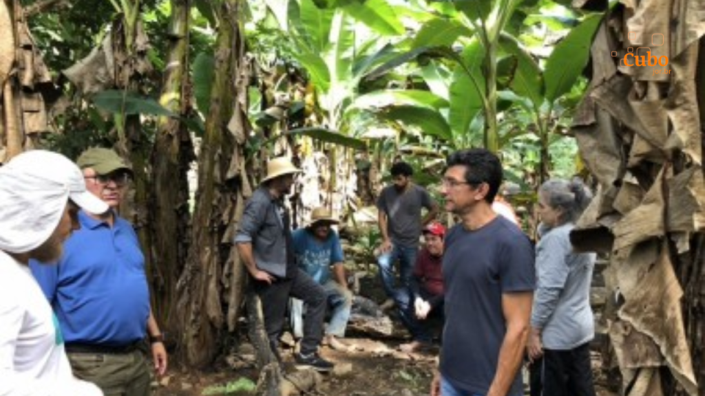 Pesquisadores de três Estados estudam alternativas econômicas ao desmatamento no&nbsp;Acre