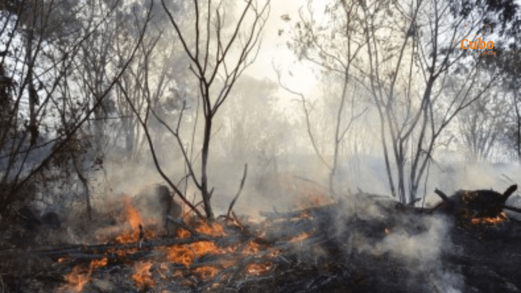 Novo sistema é capaz de prever incêndios no Cerrado em tempo praticamente&nbsp;real