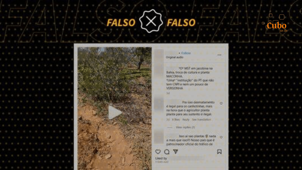 É falso que vídeo mostra plantação de maconha do MST na&nbsp;Bahia