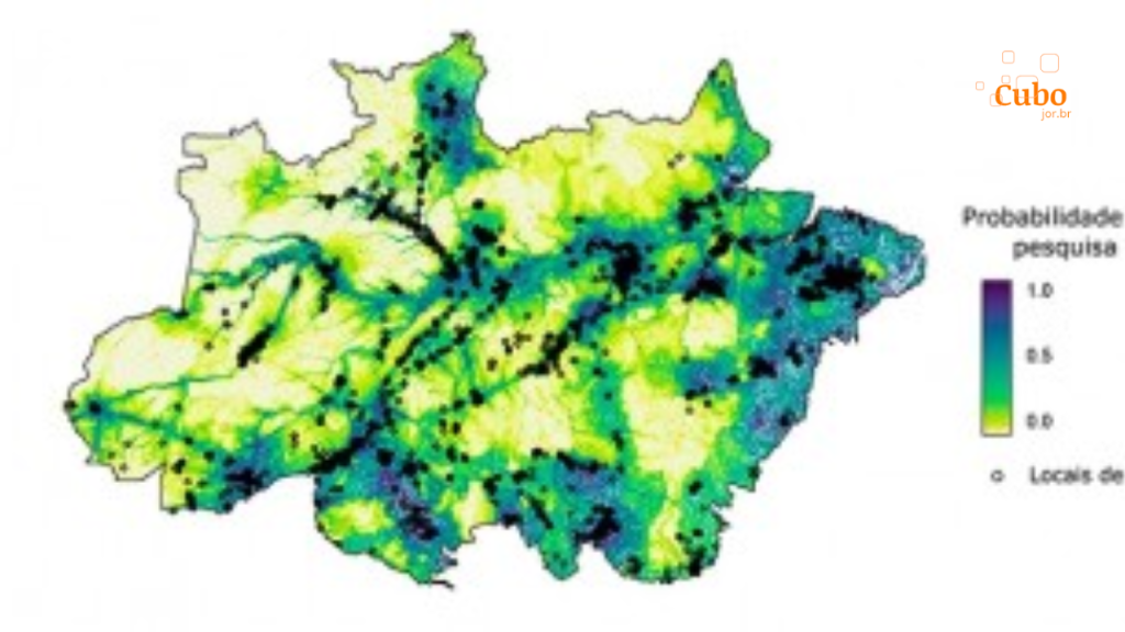 Estudo revela lacunas de pesquisas ecológicas no território da Amazônia&nbsp;brasileira