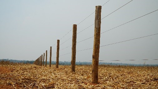 Belgo Arames leva à Expoimp 2023 (MA) soluções para o cercamento eficiente em regiões promissoras de pecuária e produção de grãos 