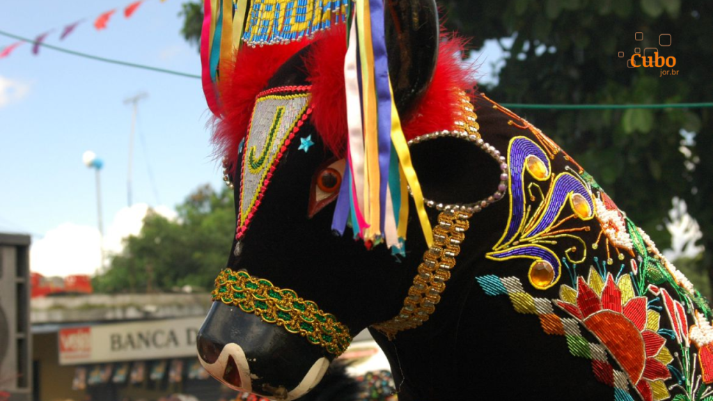 Programa de Incentivo à Produção do Conhecimento Técnico e Científico do CNFCP é criado para promover o folclore e a cultura popular&nbsp;brasileira