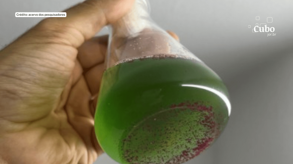 Glitter prejudica o crescimento de organismos-chave para os ecossistemas aquáticos, indica&nbsp;estudo