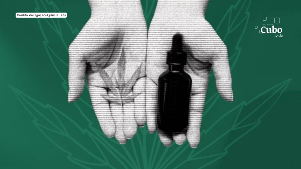 Importações de remédios à base de cannabis crescem mais de 100% a cada&nbsp;ano