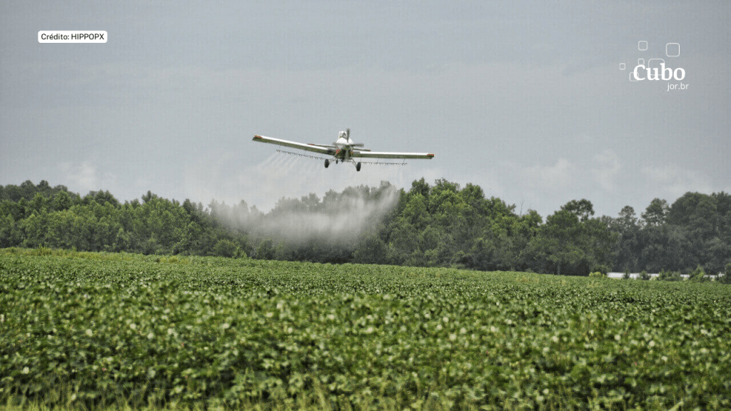 Agrotóxico comum no Brasil, glifosato provoca dano celular em organismos&nbsp;bioindicadores
