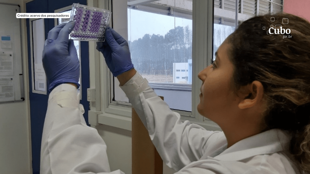 Composto combate bactérias resistentes em menos de uma&nbsp;hora