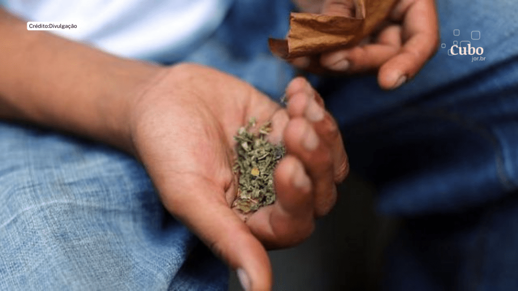 K9: Saiba como a “droga zumbi” afeta o&nbsp;cérebro