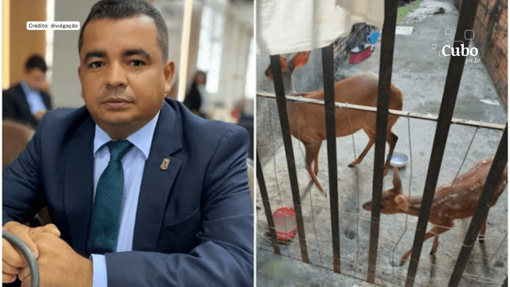 Vereador Edson Gaguinho é preso por posse ilegal de arma, munições e medicamentos proibidos, além de crime ambiental em São&nbsp;Luís