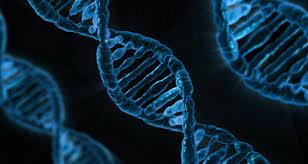 Pesquisadores afirmam ter descoberto o “gene da ansiedade” e como desativá-lo, especialistas&nbsp;alertam