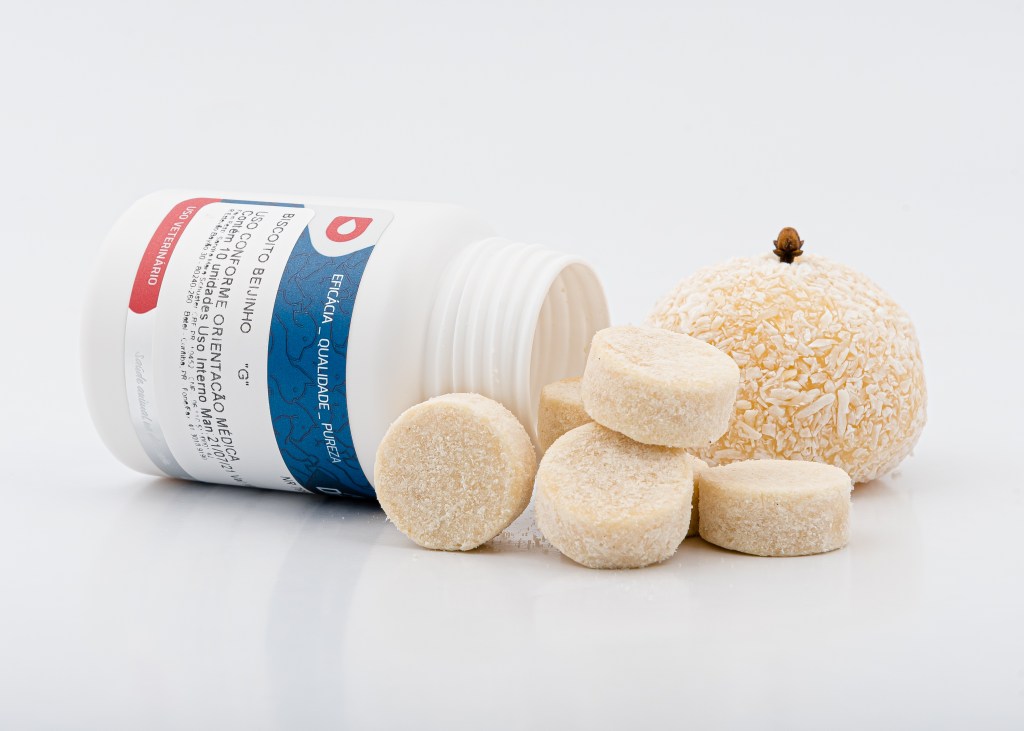 Leishmaniose: uma zoonose com poucas chances de cura e que requer cuidados&nbsp;diários