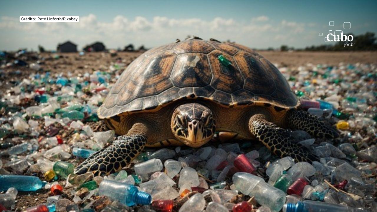 Produtos feitos de falso plástico biodegradável são vendidos em supermercados do país