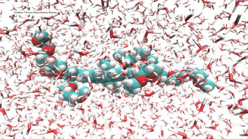 Absorção da luz por moléculas tem aplicações em microscopia, medicina e armazenamento de&nbsp;dados