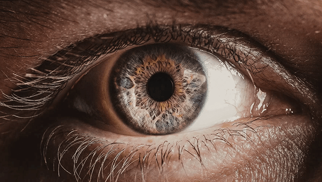 Fila para transplante de córnea no Brasil pode chegar a mais de 1&nbsp;ano