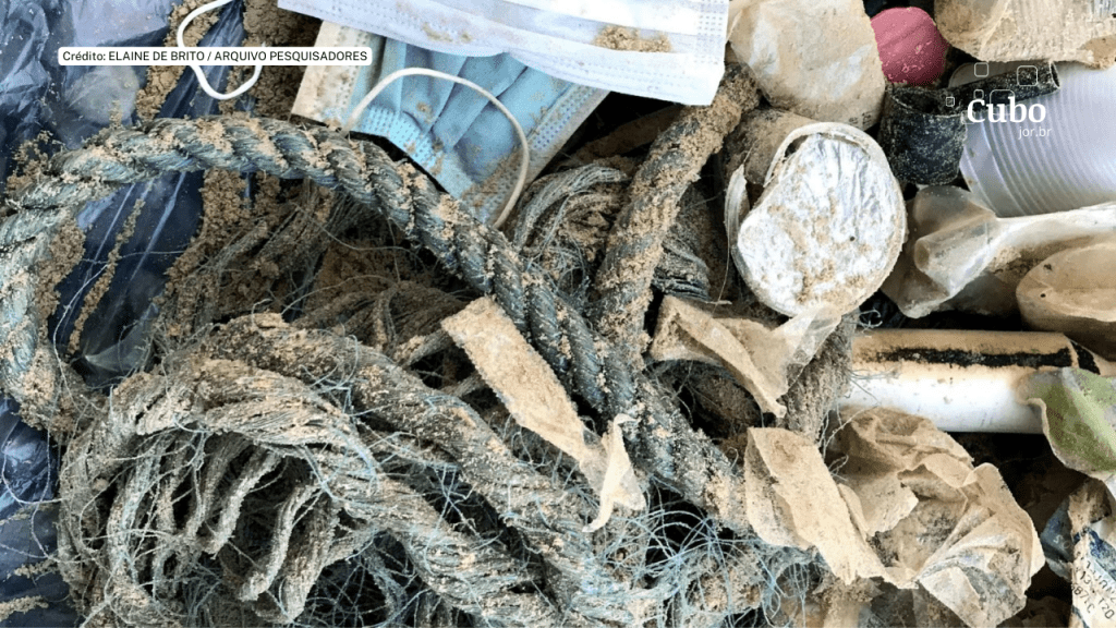 Descarte de lixo mais do que triplicou após a liberação de acesso às praias de Aracaju na&nbsp;pandemia