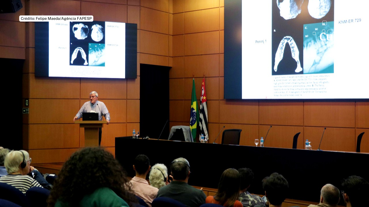 É preciso não só avançar no entendimento sobre a evolução humana, mas também reduzir a nossa ignorância sobre o tema