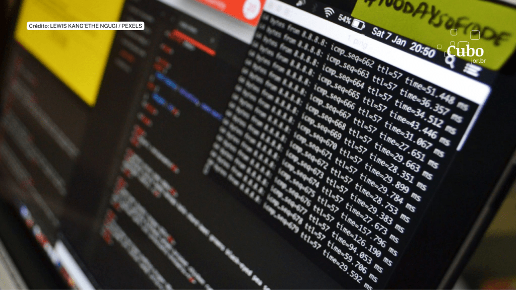 Monitoramento de vídeos revela que criadores de conteúdo digital lucram com práticas abusivas em&nbsp;animais