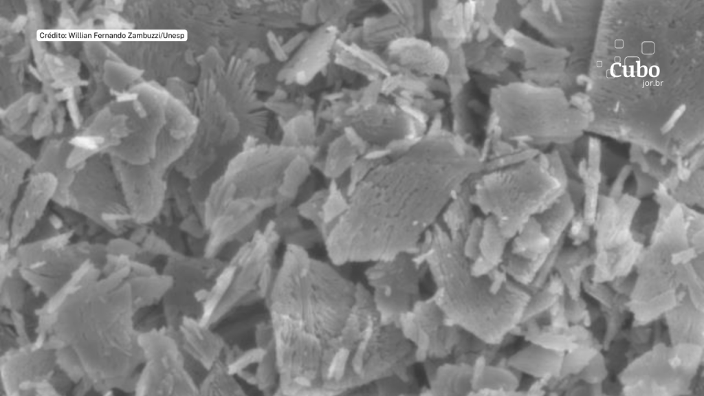 Biomaterial desenvolvido na Unesp se mostra capaz de acelerar a regeneração&nbsp;óssea