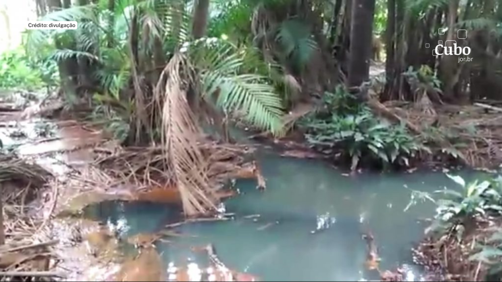 Campanha Salve o Rio da Ribeira faz alerta sobre poluição em área de preservação ambiental&nbsp;permanente
