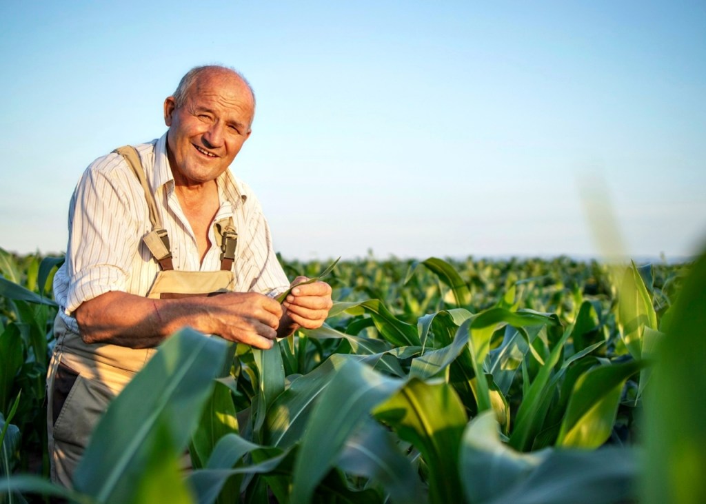 Você sabia? Trabalhadores rurais têm direito a regras diferenciadas para&nbsp;aposentadoria