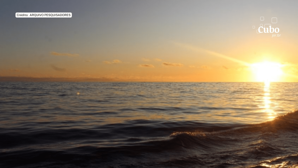 Estudo revela grandes formações rochosas no fundo do mar de Santos (SP) que podem abrigar espécies&nbsp;desconhecidas