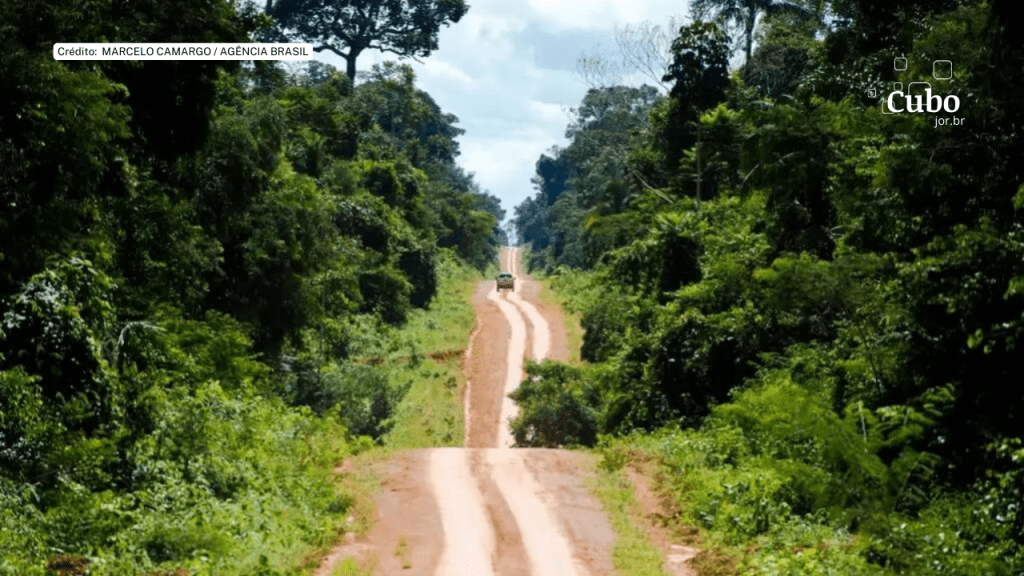 Desmatamento zero e infraestrutura sustentável são prioridades para a Amazônia, indicam pesquisadores na&nbsp;COP28