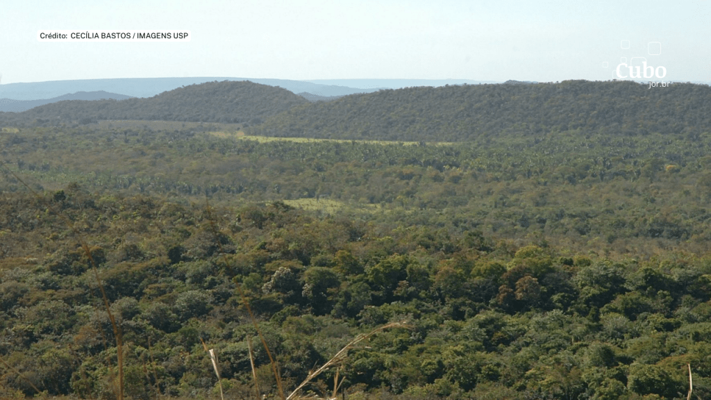 Mudanças climáticas: relatório indica pontos de não retorno em todo o mundo, inclusive colapso da&nbsp;Amazônia