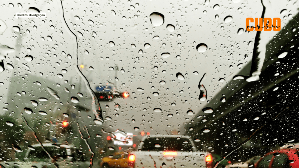 Período chuvoso exige cuidados contra a&nbsp;leptospirose