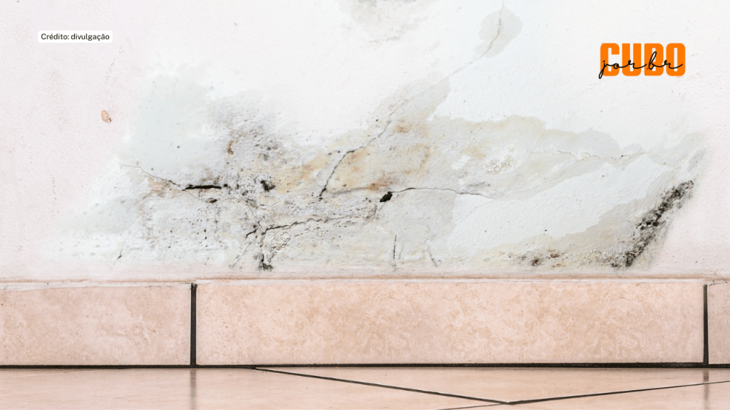 Como fazer para proteger a casa de infiltrações que aumentam nos períodos&nbsp;chuvosos