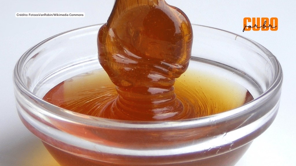 Alto consumo de frutose pelos pais eleva risco de doenças cardiometabólicas nos filhos, aponta&nbsp;estudo