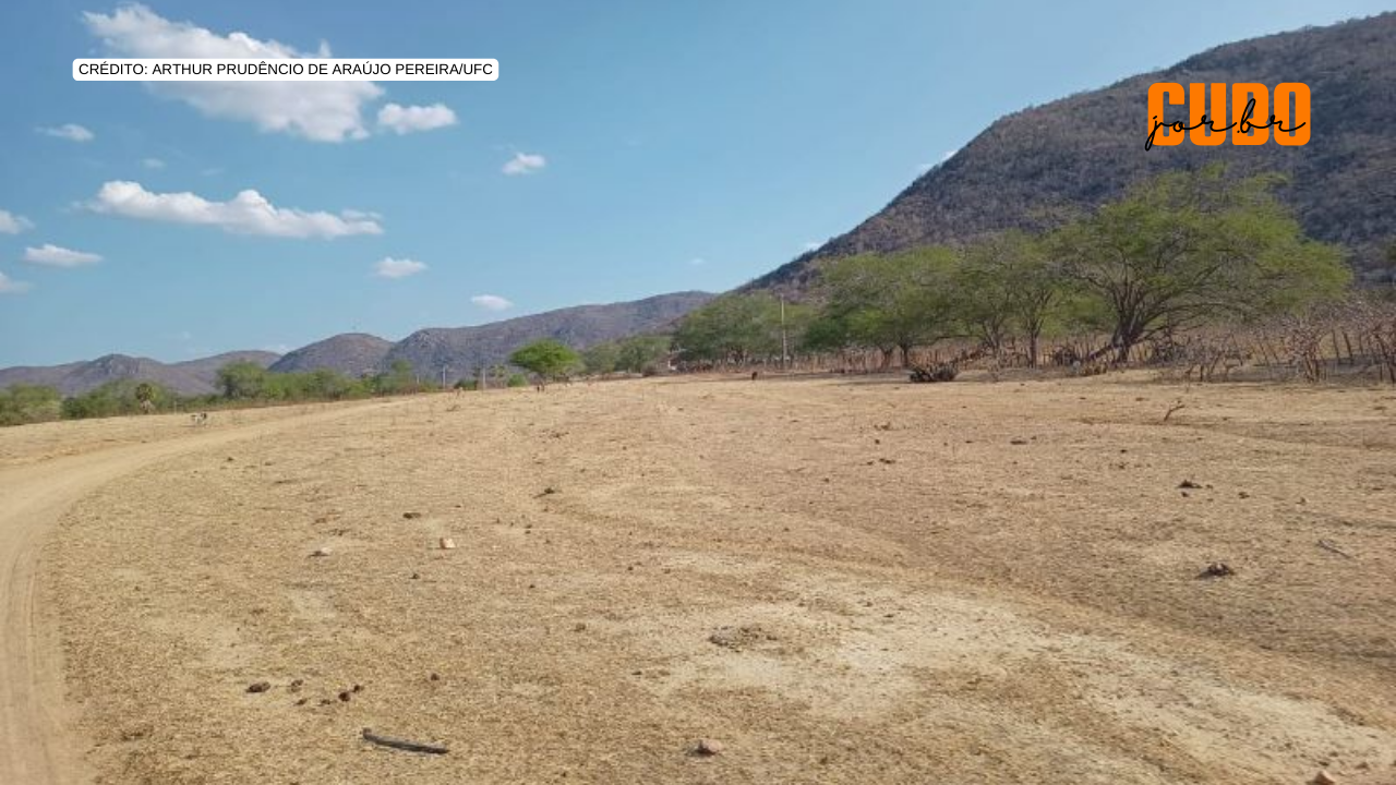 Restauração de áreas degradadas no semiárido promove a ‘volta’ de microrganismos do solo, mostra estudo