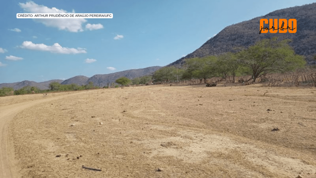 Restauração de áreas degradadas no semiárido promove a ‘volta’ de microrganismos do solo, mostra&nbsp;estudo