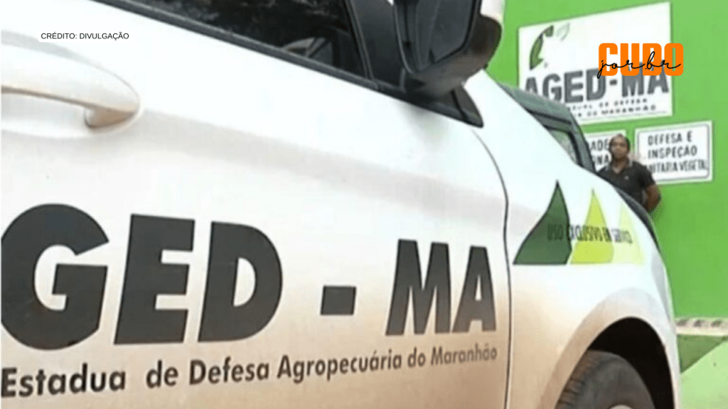 AGED: Funcionários cobravam até 57 vezes mais por documento essencial para pequenos produtores em Santa&nbsp;Inês