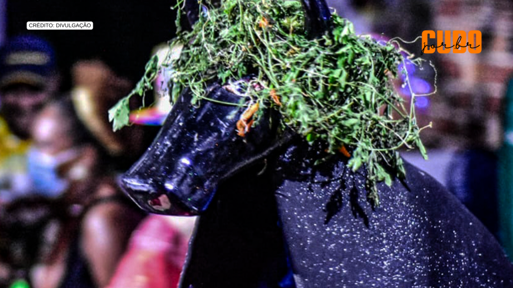 Cultura Popular em dose dupla no Pátio Aberto do&nbsp;CCVM