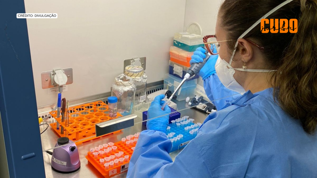 Vacina de DNA contra o zika apresenta bons resultados em testes com&nbsp;camundongos