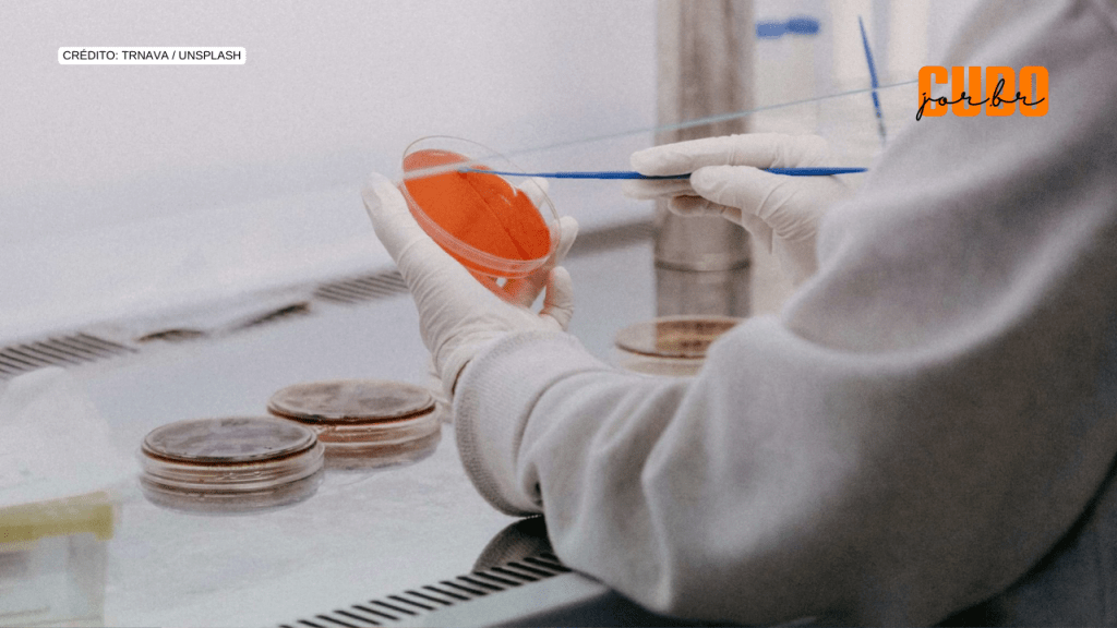 Fuga de cérebros para o Brasil: o que atrai pesquisadores estrangeiros para&nbsp;cá?